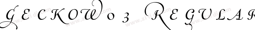 GeckoW03 Regular Reg字体转换